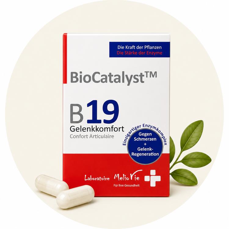 BioCatalyst™ B19 Gelenkkomfort